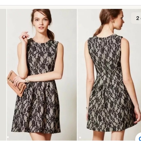 Anthropolgie HD In Paris Violante black dress sz M - Picture 1 of 4